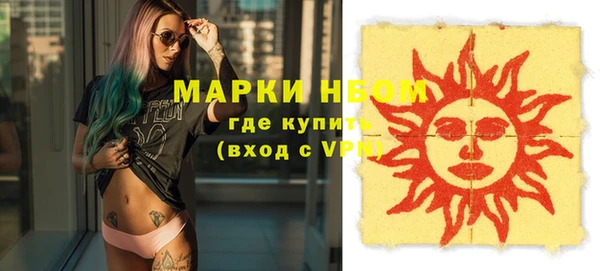 хмурый Белокуриха