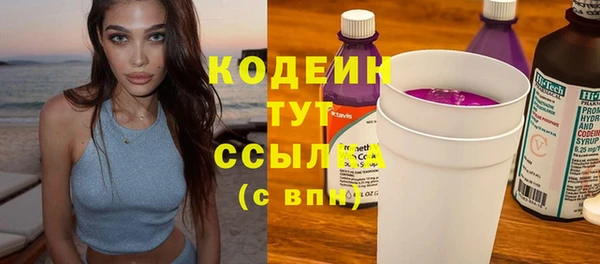 хмурый Белокуриха