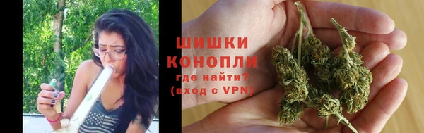 хмурый Белокуриха