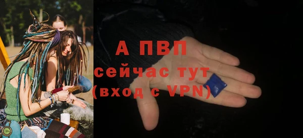 мяу мяу мука Беломорск