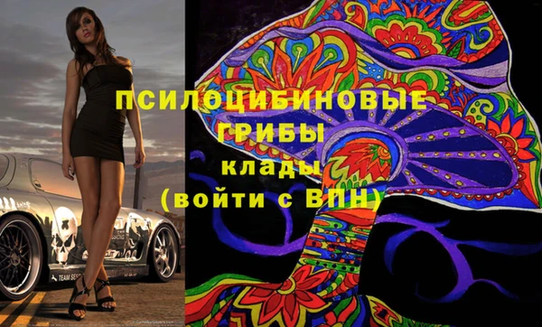 хмурый Белокуриха