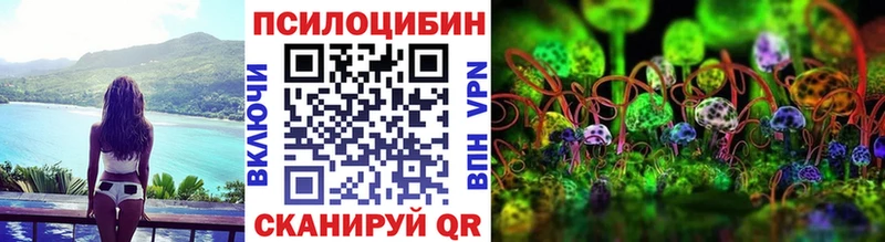 магазин продажи   Великий Устюг  Галлюциногенные грибы Psilocybine cubensis 
